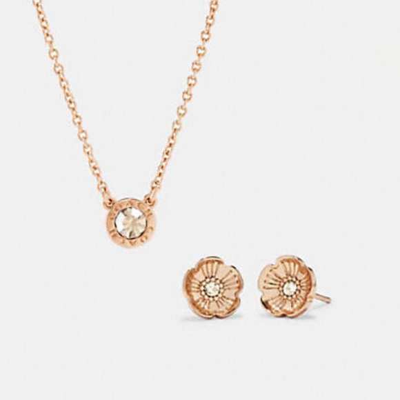 Coach earrings and necklace set - Picture 4 of 6